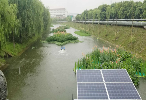 某市河道生态修複工程項目