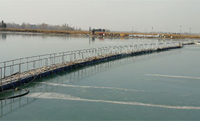 某鎮納污坑塘治理項目