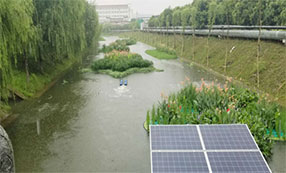 某市河道生态修複工程項目